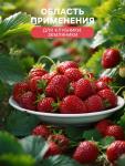 Удобрение органоминеральное «Буйские удобрения», для клубники, земляники, 1 кг