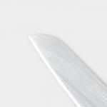 Набор кухонных принадлежностей «Для кухни», 4 предмета: доска, нож, ножницы, овощечистка, голубой