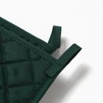 Кухонный набор «Суккулент»: варежка-прихватка 20?27 см, прихватка 17?17 см