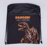 Мешок для обуви черный