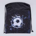 Мешок для обуви черный