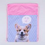 Мешок для обуви роз-чер