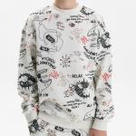 BFN3389/1 толстовка для мальчиков