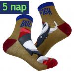 В мире животных | Носки Быки. BULLFIGH, р-р 36-42 (красный-серый, хаки) - 5 пар в пакете
