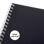 Гарри Поттер | Premium альбом для рисования А4,20л "Hogwarts Legacy" (черный) 20А4лтAгр_30061