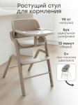 Стул для кормления CHARLEY