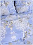 Постельное белье Шуйская бязь Веяние 21858-1