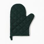 Варежка - прихватка «Алоэ вера», 20?27 см