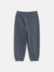 Брюки детские для мальчиков Chak_pt темно-серый