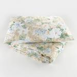 Комплект спальный «Экономь и Я»: одеяло 1.5 сп, синтепон 100 г/м? + подушка 50?70 см, МИКС