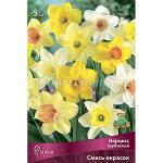 Нарцисс трубчатый Смесь окрасок