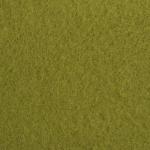 Плед «Экономь и Я» зелёный 150?180 см, 160 г/м?, 100% п/э