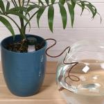 Автополив для комнатных растений, набор 2 шт., шланг 1 м, Greengo