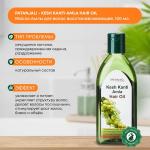 PATANJALI Amla Hair Oil  Масло для волос Амла 50мл