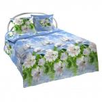 Постельное белье Шуйская бязь 206451