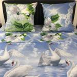 Постельное белье Шуйская бязь 206451