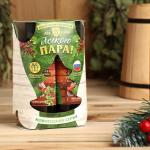 Набор ароматизаторов 2 шт. по 100 мл "С легким паром", грейпфрут, лимон, бергамот, пачули