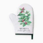 Варежка - прихватка «Доляна. Мелисса», 20?27 см