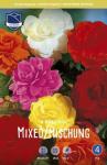 Бегония махровая (Double MIXED colours) смесь, 3 шт (разбор 6/7)