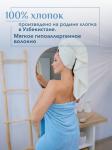 Набор полотенец махровых Ирбис из 2шт (70*140+70*140) Реноме, 11-0104 белый-молочный/14-4508 голубой