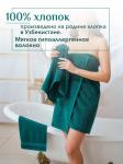 Набор полотенец махровых Кай из 3шт (30*60+50*90+70*140) Реноме, 19-5217 темно-зеленый