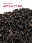 Ассам СТ.101