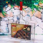 Решетка для гриля 38*26 см (длина с ручкой 55 см)