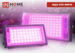 ASD/InHome Прожектор св/д  50W 75мкм/с красн-син, выкл, подвес 212х103х24 ФДО STD-ФИТО IP65 5045