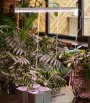 Uniel подставка для свет-ка для растен (фито) h=650мм металл/бел UFP-G10A H65 WHITE