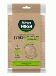 Губки для посуды поролон крупнопористый/сизаль,100*70*36мм,АГАВА,2шт,С0007101/Master FRESH ЭКО