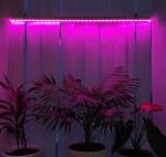 General св-к св/д для растений(фито) 18W, 23 мкмоль/с,1200мм,фиол.спектр, для рассады 475611