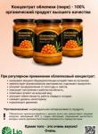 Концентрат облепихи, 450 мл