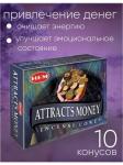 HEM Attracts Money Cone Благовоние конусы Привлечение Денег 10шт