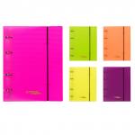 "Expert Complete" PRISMA NEON/Призма неон Папка на 4 О-кольцах A4 700 мкм 25 мм эффект 3D 4 шт. d - 17 мм