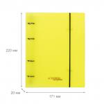 "Expert Complete" PRISMA NEON/Призма неон Папка-обложка для сменного тетрадного блока на 4 кольцах A5+ 700 мкм 20 мм эффект 3D 1 шт. d - 20 мм