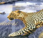 Ткань Бросок 3 фиолетовый