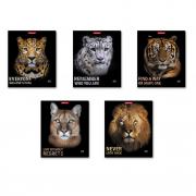 Тетрадь общая ученическая ErichKrause Strong and Brave, 48 листов, клетка, матовая ламинация