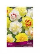 Нарцисс с расщепленной коронкой