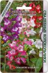 Пенстемон Кобо Свадебные Колокольчики (Смесь расцветок)