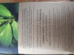 Чай Greenfield Spirit Mate  25 пак.