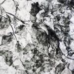 Бархат Цветы на сером 2