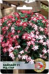 Импатиенс ампельный “Хайлайт” F1 Ред Стар. Семена.