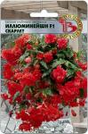 Бегония ампельная Иллюминейшн F1 Скарлет. Семена.