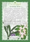 Мазь Окопника с цветом каштана (при трофических язвах, варикозе)