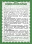 Мазь Окопника с цветом каштана (при трофических язвах, варикозе)