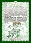 Масло болиголова (тампоны при онкологии)