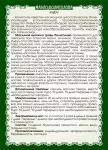 Масло болиголова (тампоны при онкологии)