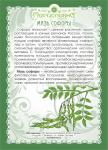 Мазь Софоры японской (при псориазе, экземе, дерматите)