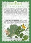 Мазь Чистотела и маклеи (при кожной сыпи, папилломах)
