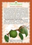 Масло маклюры  (при артрозе, остеохондрозе, межпозвоночных грыжах)